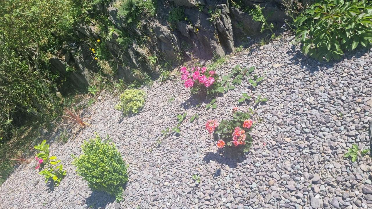 Hotel Fab View (Adults Only) Dingle Zewnętrze zdjęcie